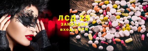PSILOCYBIN Каменногорск