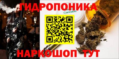спиды Рузаевка