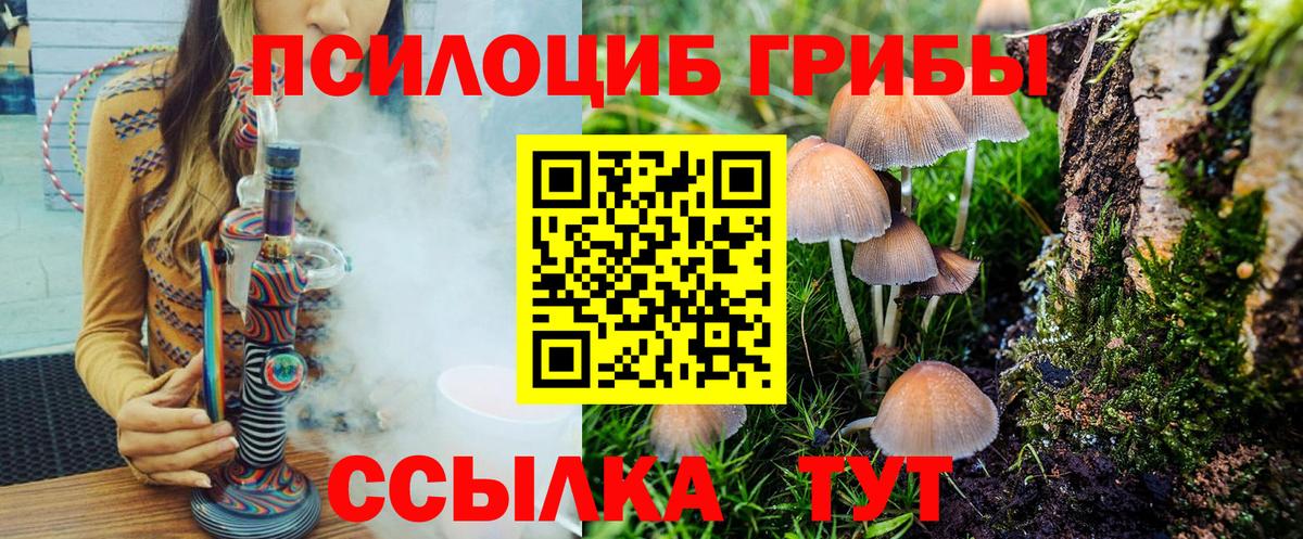 хочу   Галлюциногенные грибы мухоморы  Вход с VPN  Азнакаево  Псилоцибиновые грибы мухоморы 