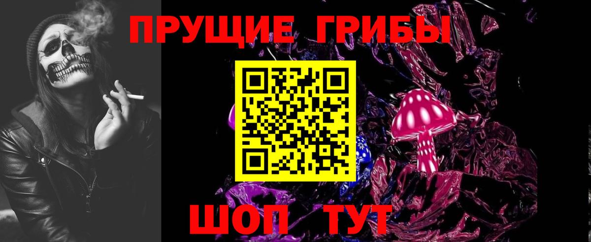Псилоцибиновые грибы Cubensis Азнакаево